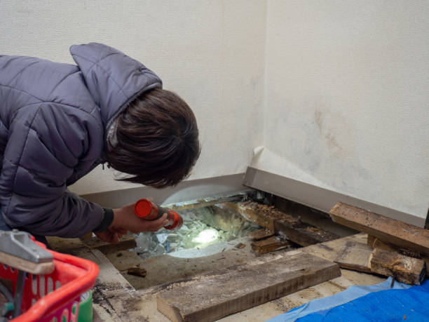 Best HVAC Mold Inspection and Cleaning  in Gruetli Laager, TN