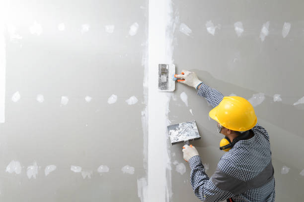 Best Industrial Mold Remediation  in Gruetli Laager, TN