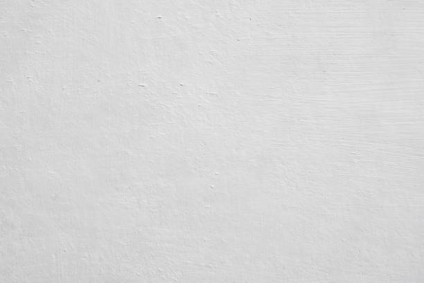 Best Mold Prevention Services  in Gruetli Laager, TN