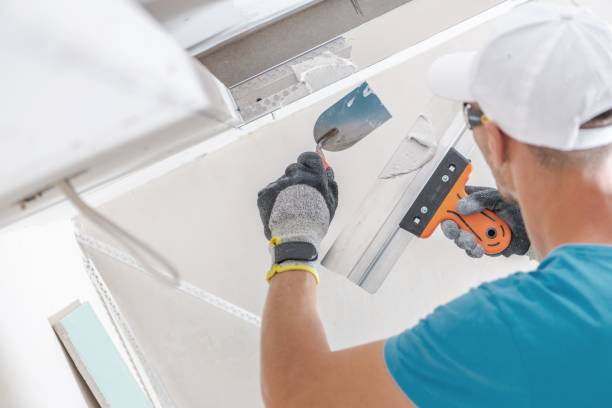 Best Mold Damage Restoration  in Gruetli Laager, TN
